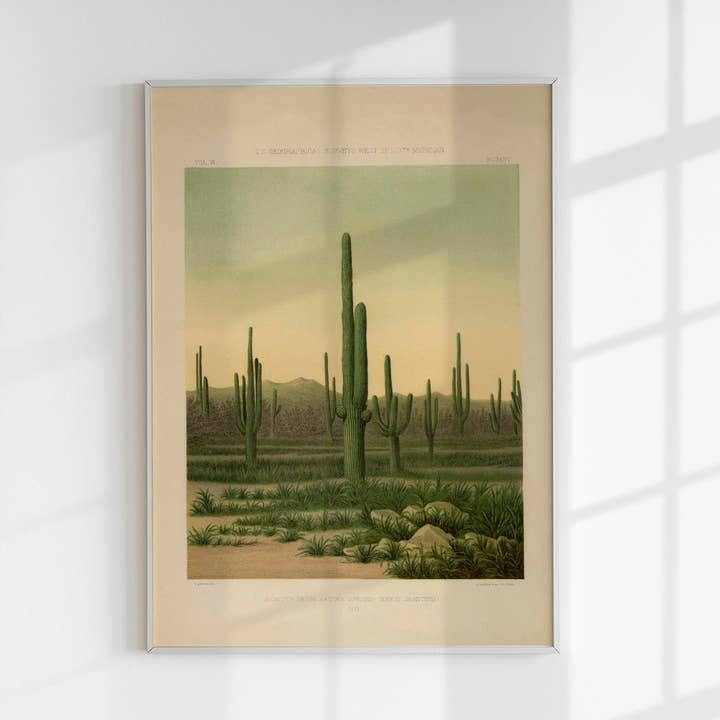 Affiche vintage American Cactus pour la vente par Patroa Studio