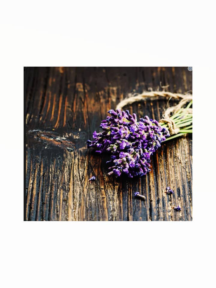 Soy-Blend Wax Melt - Lavender for wholesale by Bear Den