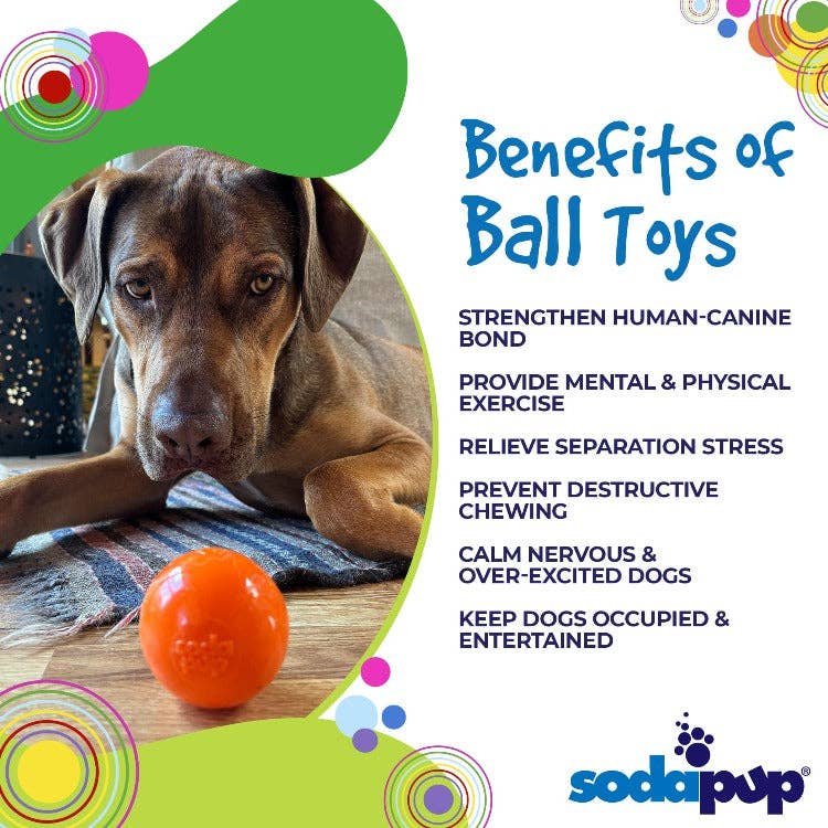 SodaPup Dog Toys - Wholesale Pet Chew Toy - Dog - Squeak Ball Ultra Durable PUP-X Squeaking, Chewing, Floating & Retrieving Ball14