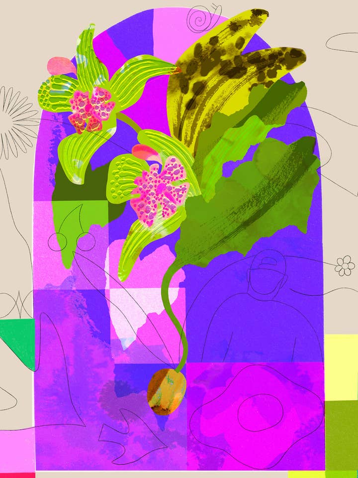 FLOWER 3 - Seeds Of Ideas To Come Giclée Print for wholesale by Lucy Sherston