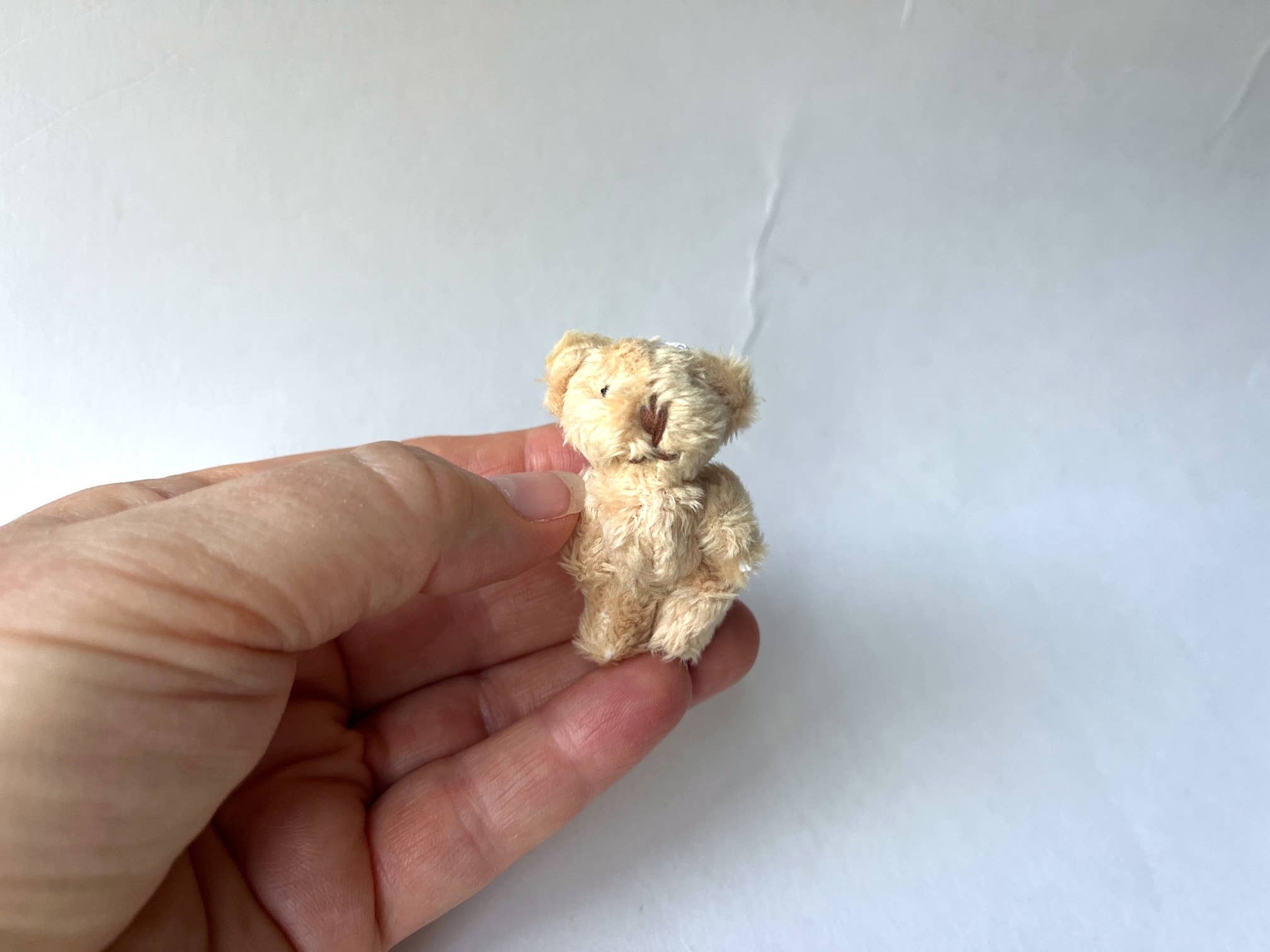 The Gifted Rat – Peluche - Crianças e bebés por atacado – Amigo de Bolso de Urso de Pelúcia Miniatura Pendente de Viagem4