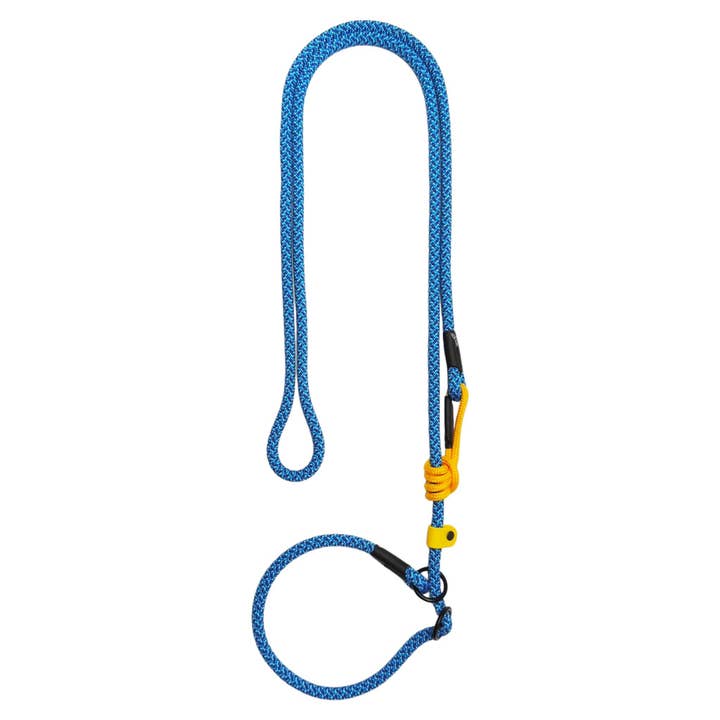 Cronulla Retriever - Uitschuifbare hondenriem voor wholesale door Blue Heeler