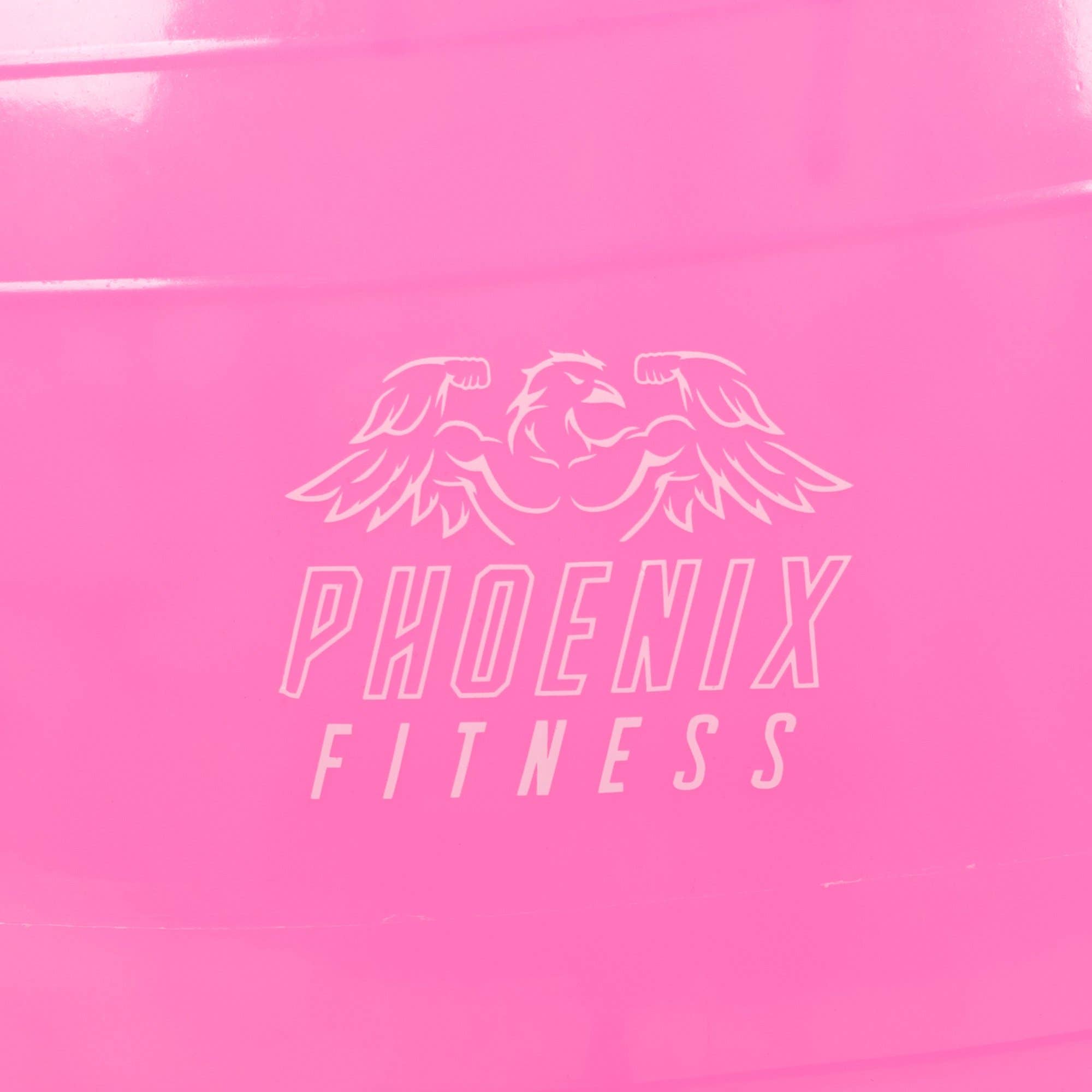 Phoenix Fitness – wholesale Fitness equipment – Fit Ball With Pump Pink4