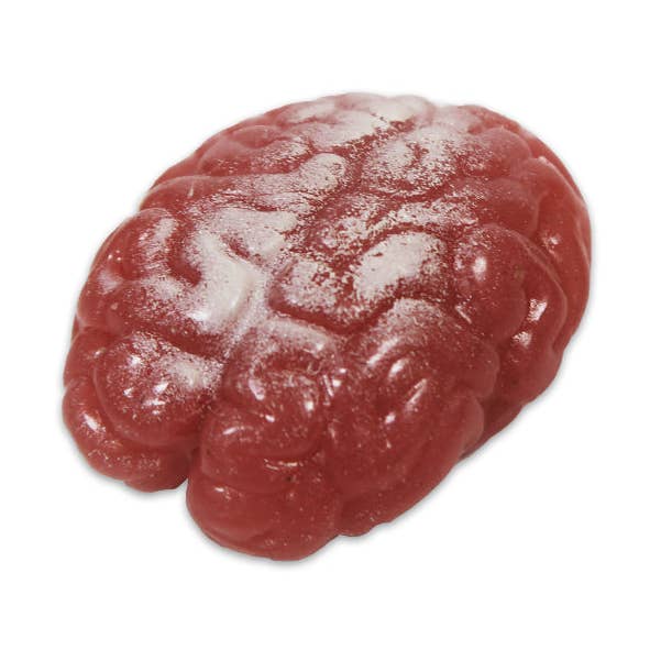 Squishy Brains 12 Pack for wholesale by Kipp Brothers