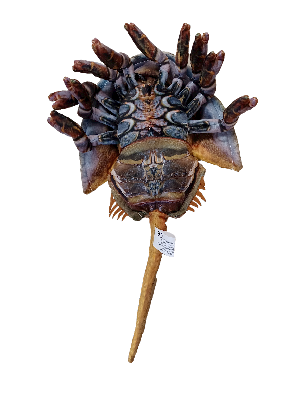 Texas Toy Distribution - Wholesale Stuffed/Plush Toy - Kids & Baby - Horseshoe Crab 17.75" Plush Stuffed Animal3