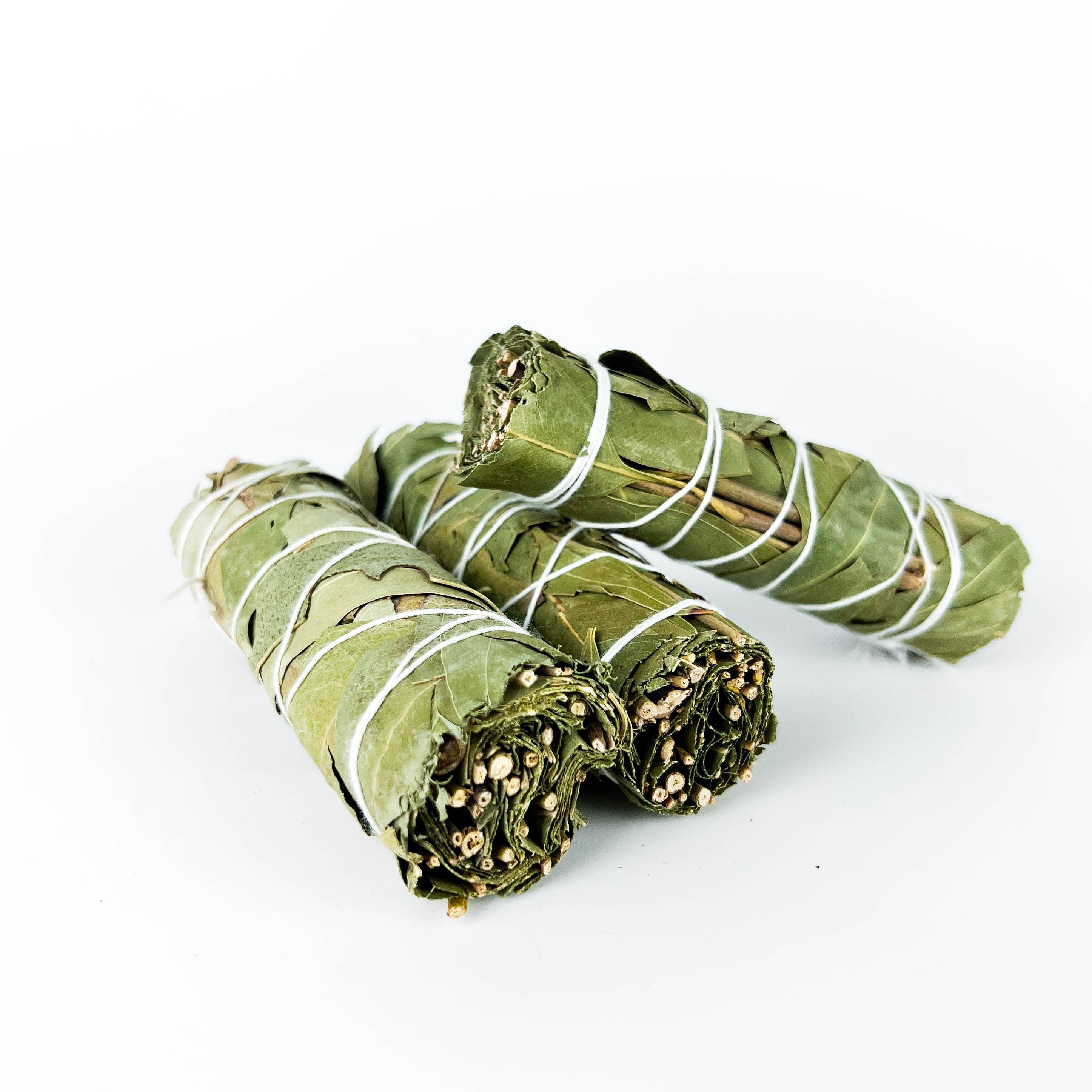 GREENROOTS USA LLC - Wholesale Smudge Stick - Eucalyptus Smudge Stick 4" Bundle For Ceremony, Meditation8