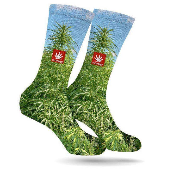 MONEY GROWS ON TREES CREW SOCKS for wholesale by StonerDays Apparel