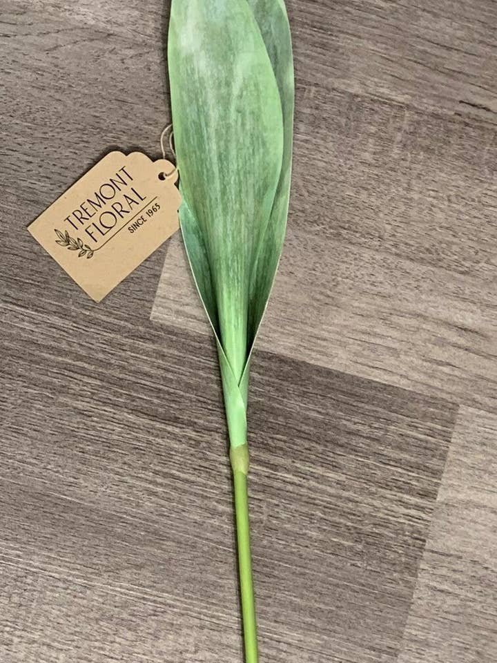 26.5" Real Touch Parrot Tulip Stem, White for wholesale by Tremont Floral Supplies