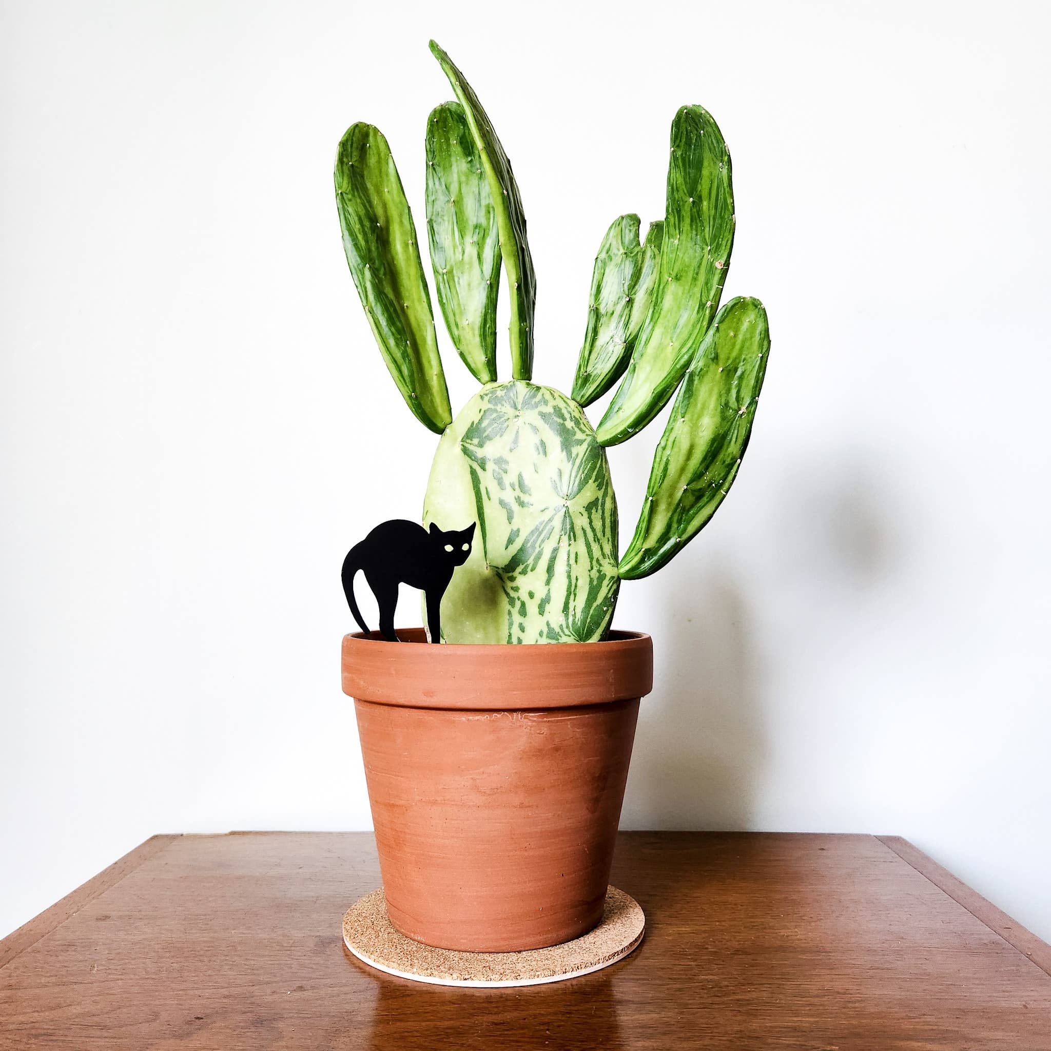 Leaf & Node - Wholesale Garden/Lawn Stake - Black Cat Houseplant Stake - Plant Décor (2 Sizes)5