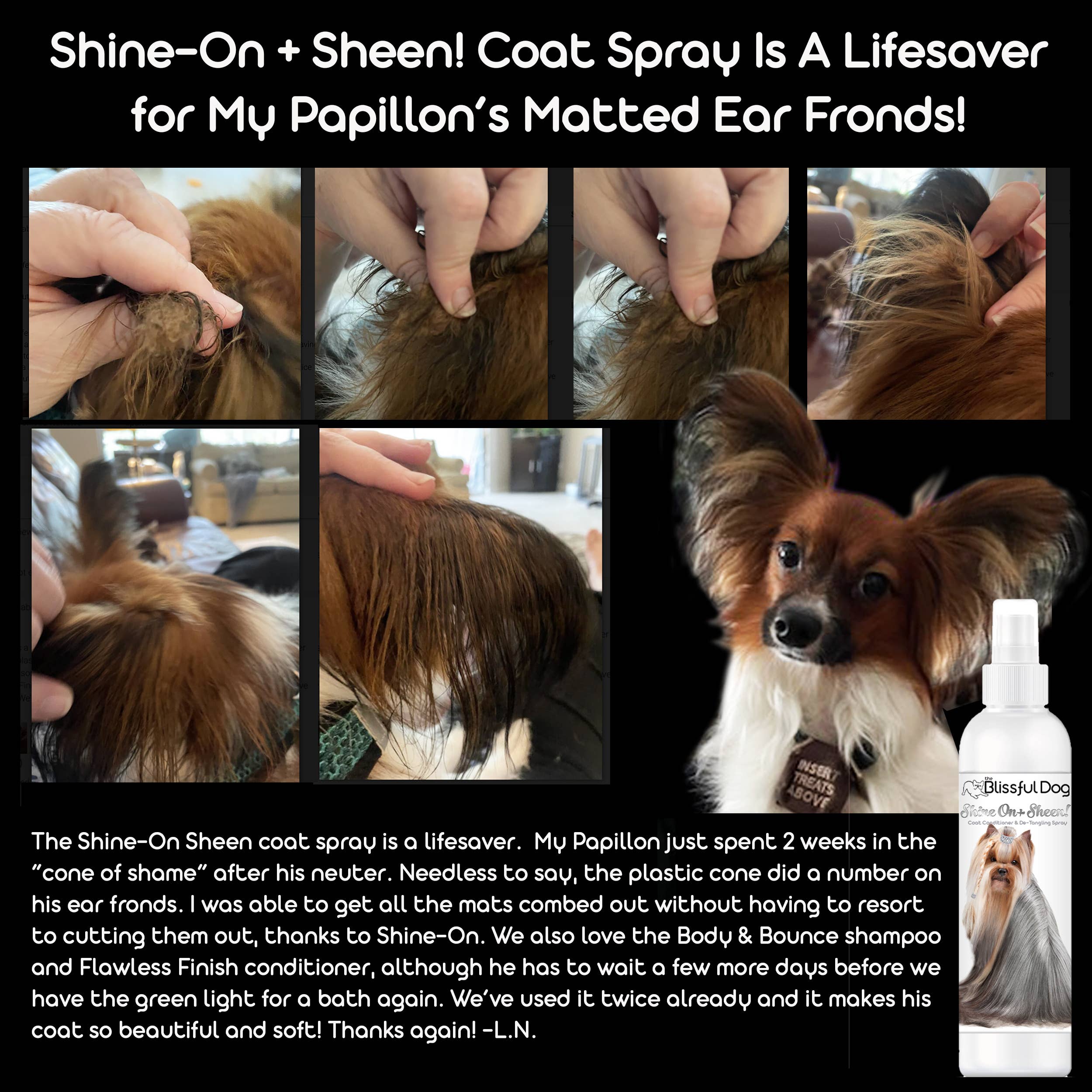 The Blissful Dog - Vente Après-shampoing – chien - Shine On+Sheen Après-shampooing et vernis à manteau canine6