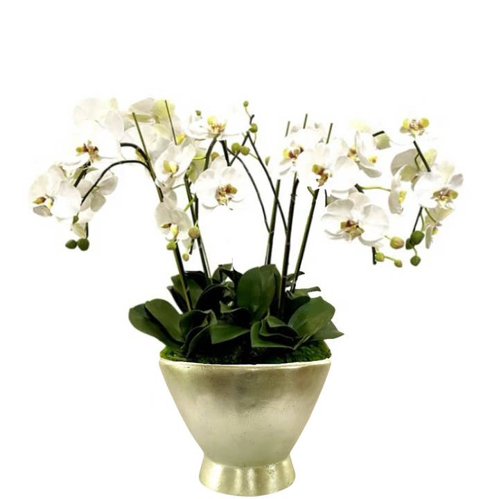 Bougainvillea - Vendita all'ingrosso Fiori finti - Contenitore Rotondo in Resina Champagne Foglia - Orchidea Artificiale Bianca e Verde - 5 Steli