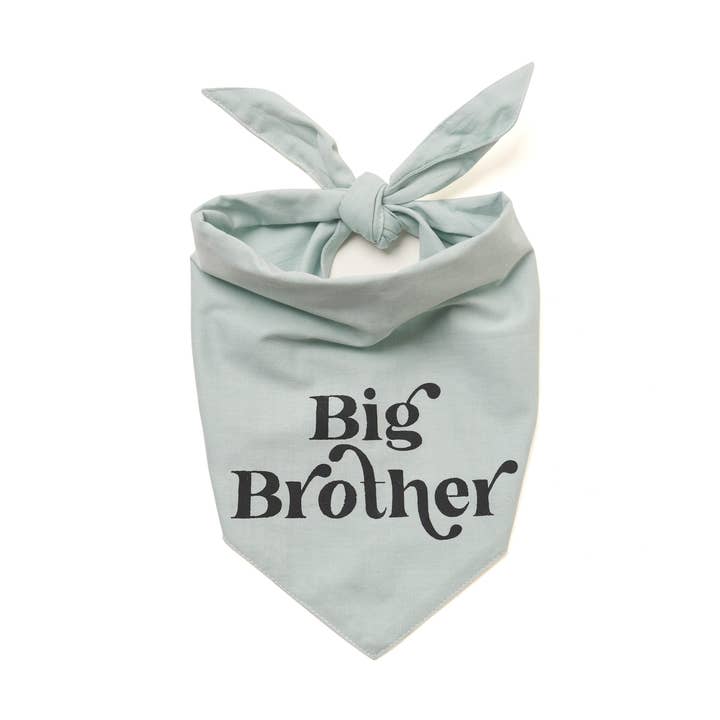 Big Brother Dog Bandana for wholesale by The Paws
