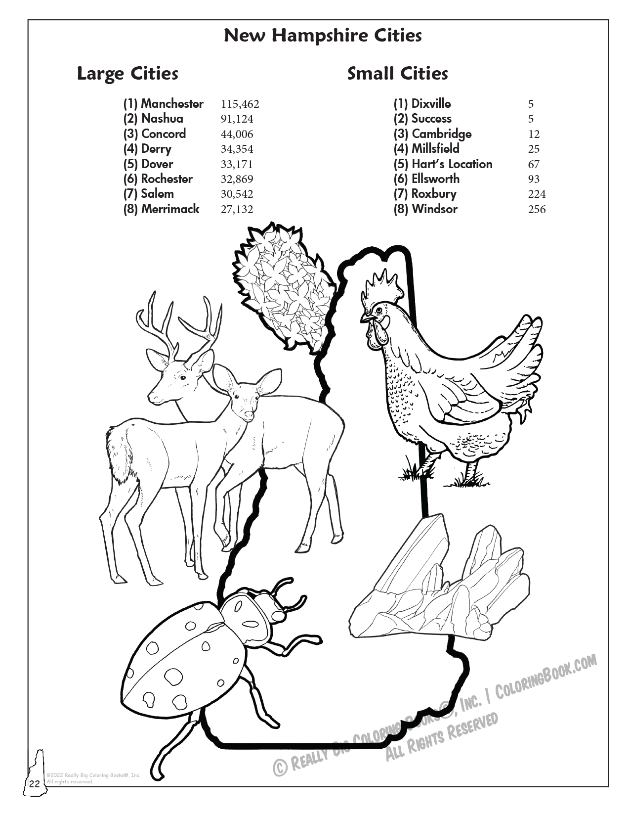 Really Big Coloring Books | ColoringBook.com - Vendita all'ingrosso Libro da colorare e attività - Bambini e neonati - Libro da colorare dello Stato del New Hampshire 8,5 x 115