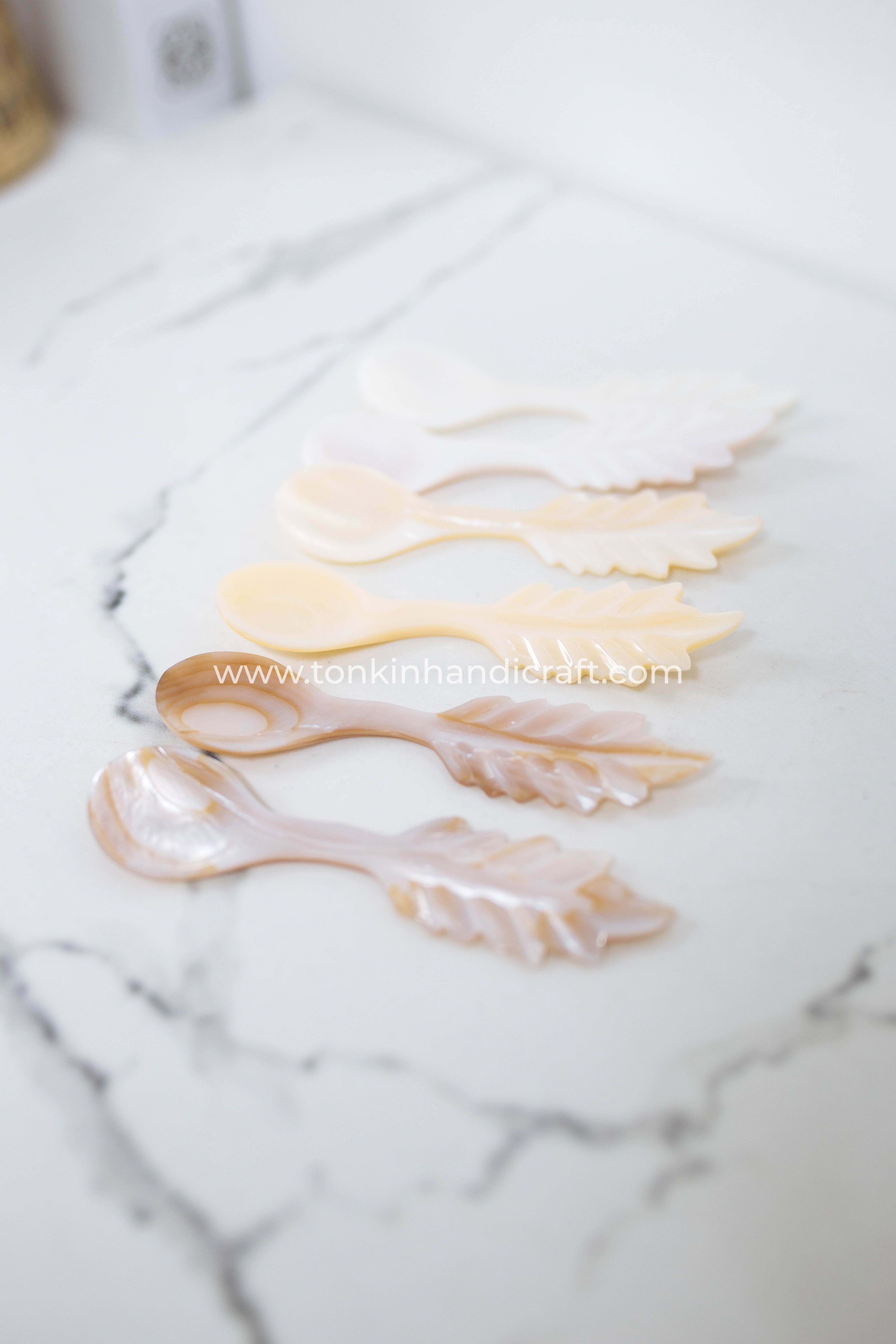 Tonkin Handicraft - Vendita all'ingrosso Cucchiai (posate) - Cucchiaio a foglia in madreperla4
