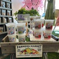 MoonSugar. - Wholesale Cotton Candy - Dye Free Cotton Candy - 24 count22