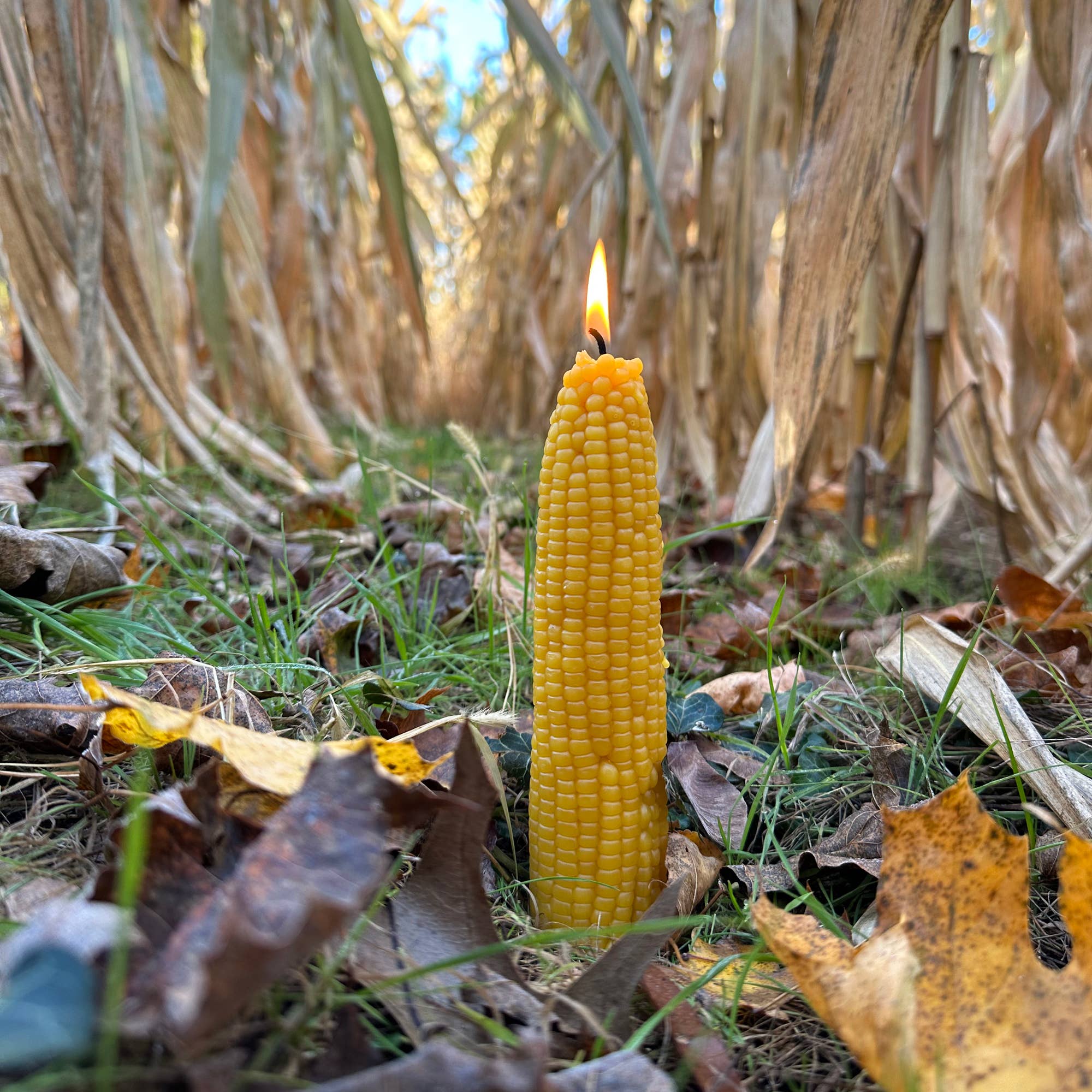 Artifaqt - Wholesale Novelty candle - Corn Beeswax Candle2