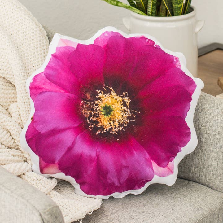 Coussin en forme de hérisson en forme de cactus, cadeau de Noël pour la vente par AURE