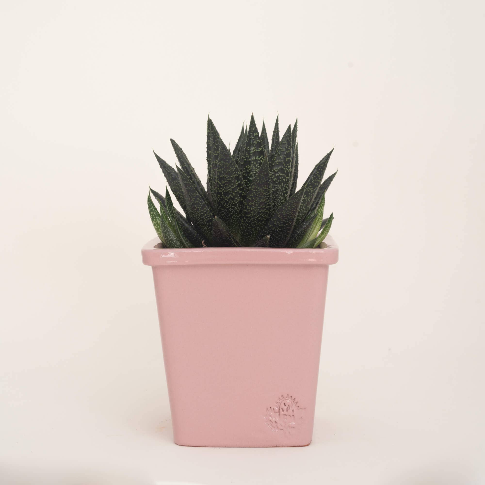 Vasos Quadrados by EM – Engroshandel Plantekrukke – Medium firkantet vase 14x14 cm - blank30