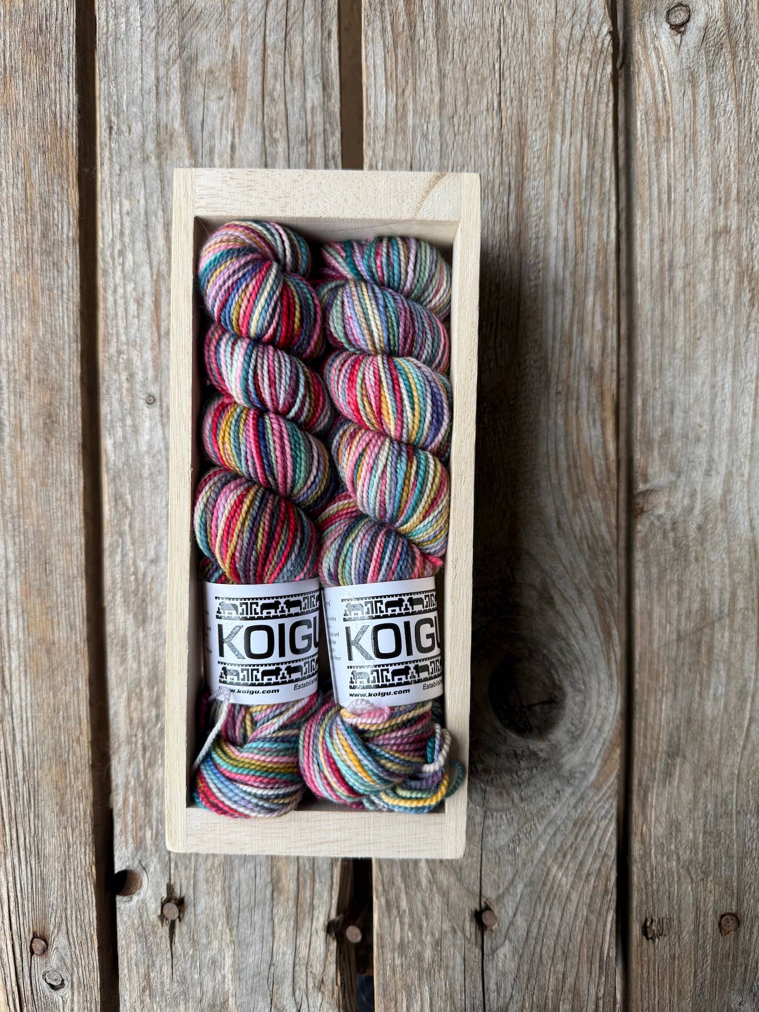 Koigu Wool Designs - Wholesale Yarn - Koigu Sock Crate4