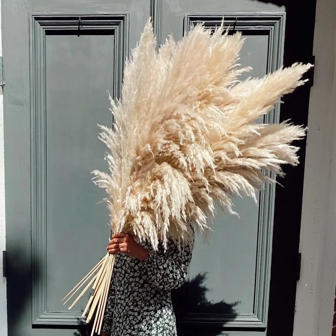 LoveProducts Ltd - Venta al por mayor Flores secas/prensadas - Hierba pampeana grande Alta esponjosa Caña seca decoración floral boho0