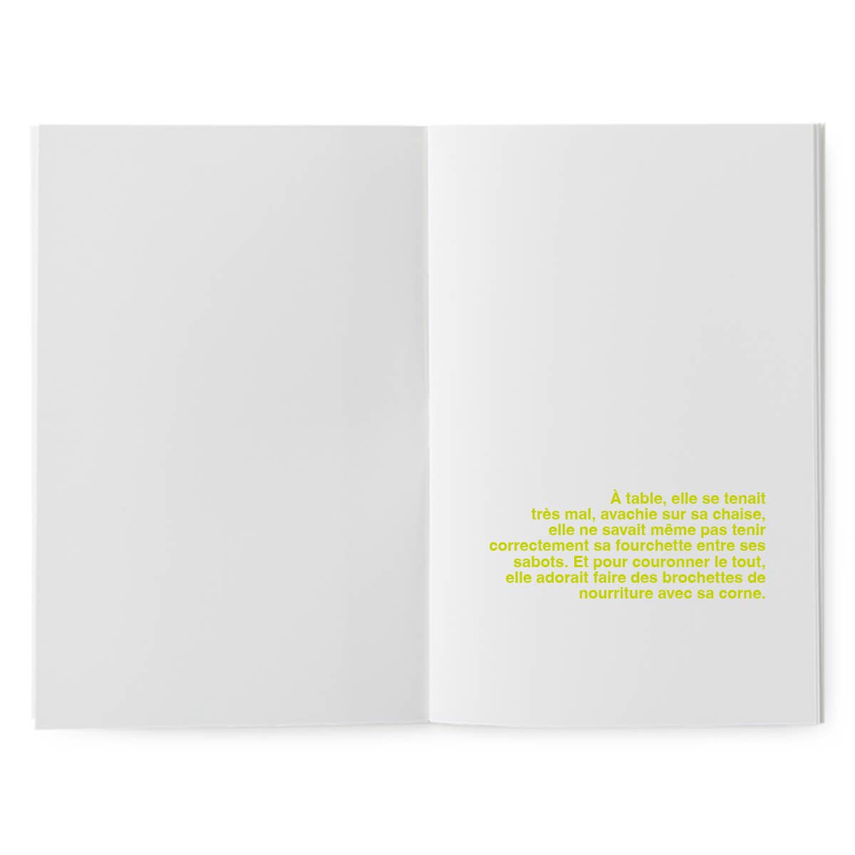 Supereditions - Wholesale Coloring & Activity Book - Kids & Baby - Book to Illustrate - The Ugly Little Unicorn3