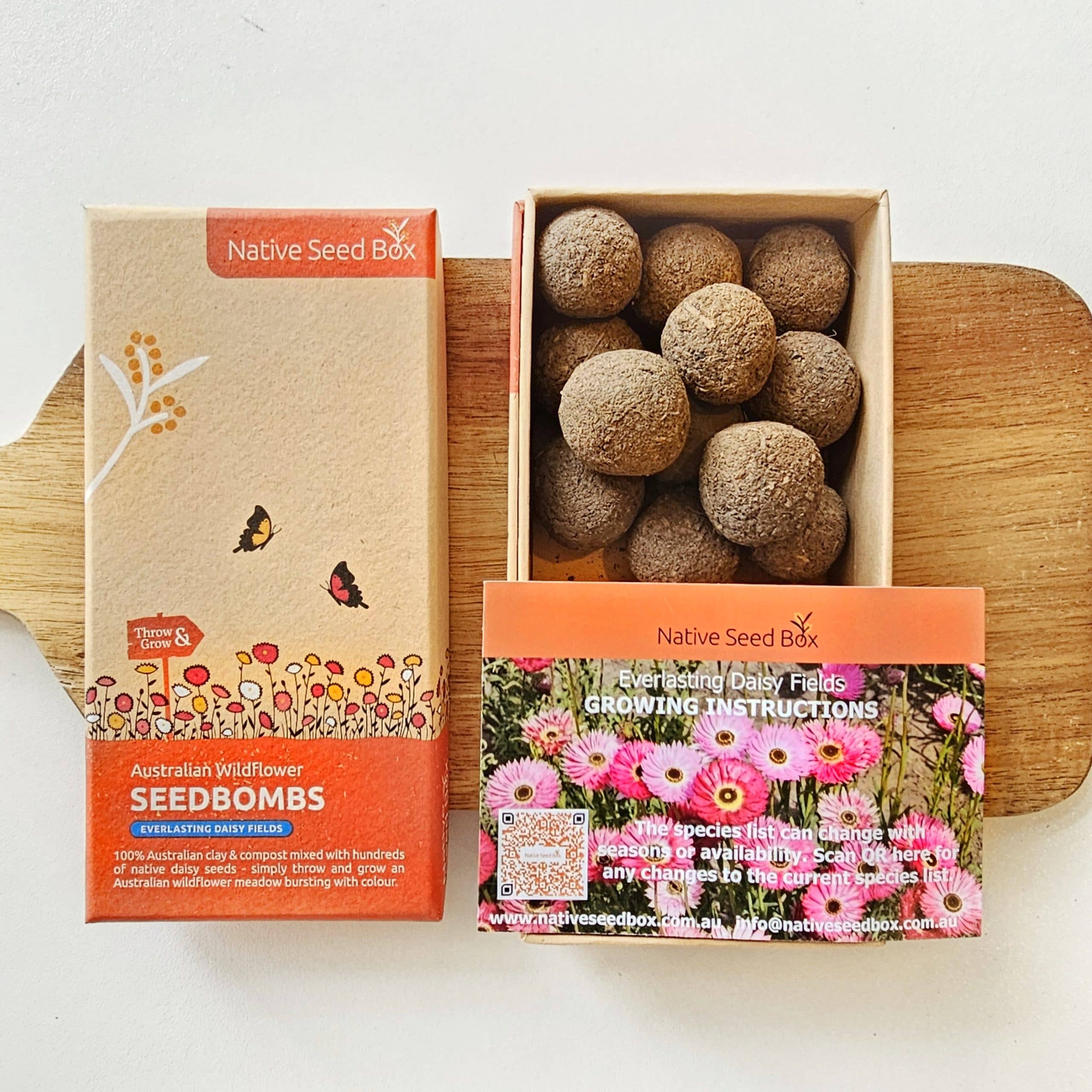 Native Seed Box – Sementes de plantas por atacado – Campos de margaridas eternos1