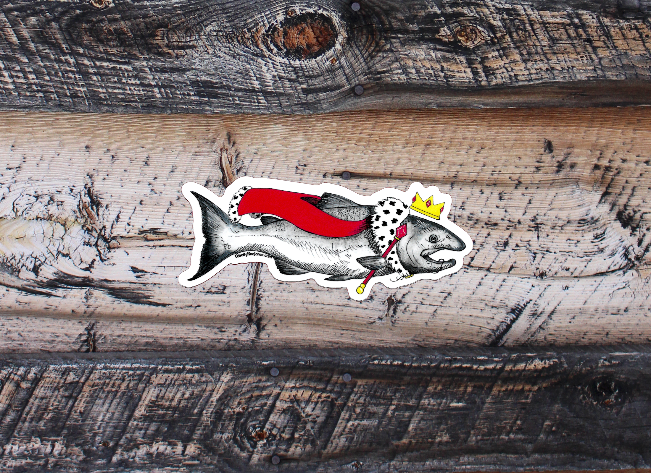 FJ Creations - Wholesale Sticker - "King Salmon" Vinyl Sticker1
