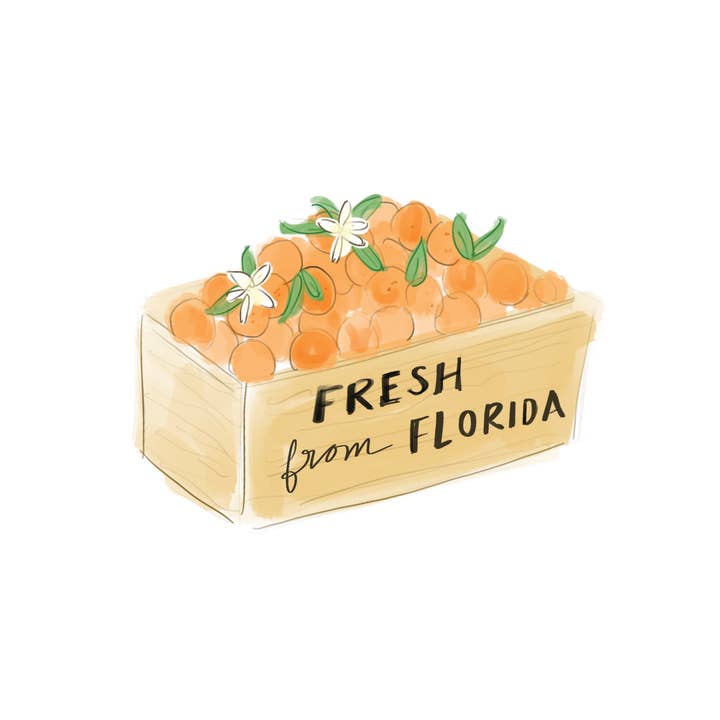 Declaration & Co - Vente Autocollant - Autocollant Fresh From Florida3