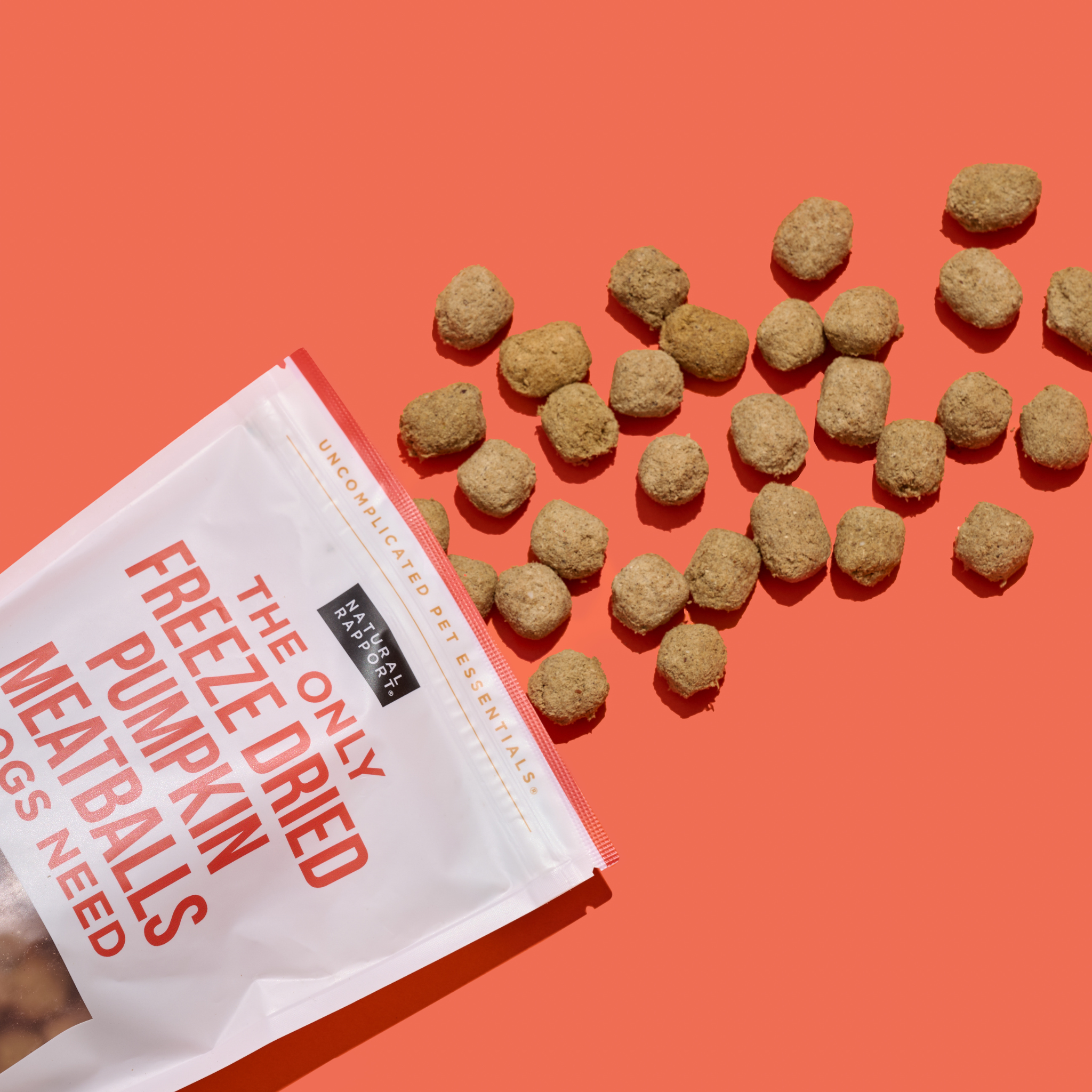 Natural Rapport - Wholesale Pet Treats - Dog - The Only Freeze Dried Pumpkin Meatballs Dogs Need1