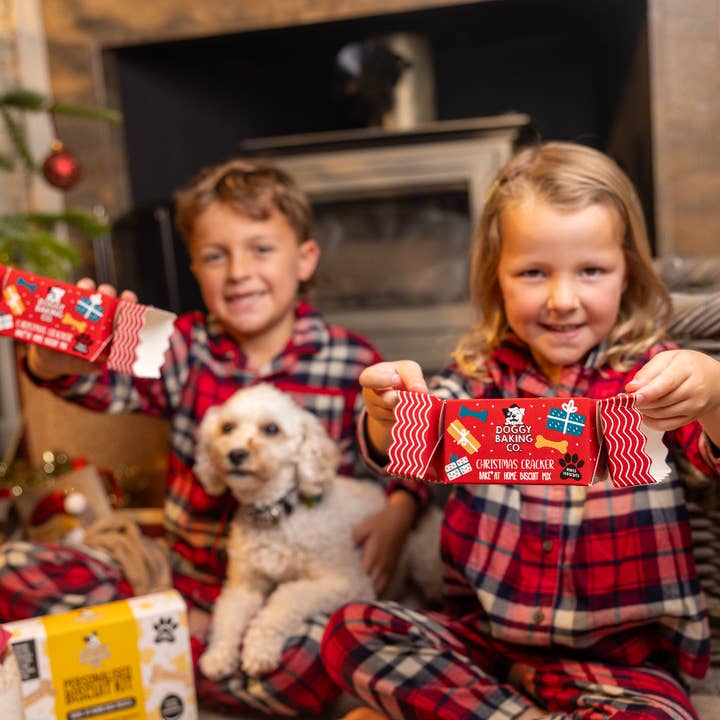 The Doggy Baking Co - Wholesale Pet Treats - Dog - Doggy Baking Co Christmas Cracker Baking Kit1