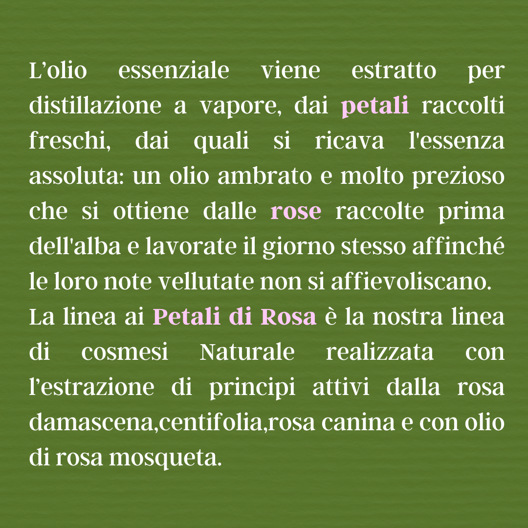 NATURA NATURANS - Wholesale Anti-Aging Moisturizer - 100% natural BIO Anti-Age Rose Smoothing Face Cream1