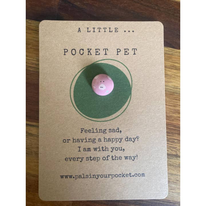 Pals in your Pocket - Wholesale Keepsake Coin/Token - Handmade Anxiety Relief Pocket Pet Worry Rock