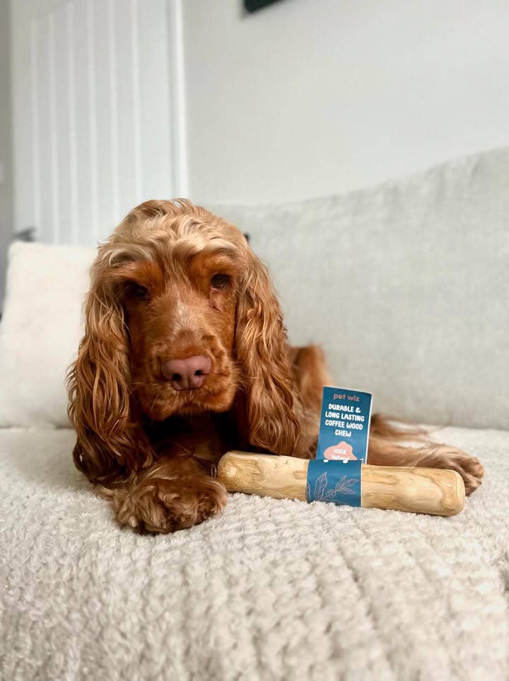 Pet Wiz - Wholesale Pet Chew Toy - Dog - Coffee Wood Chew4