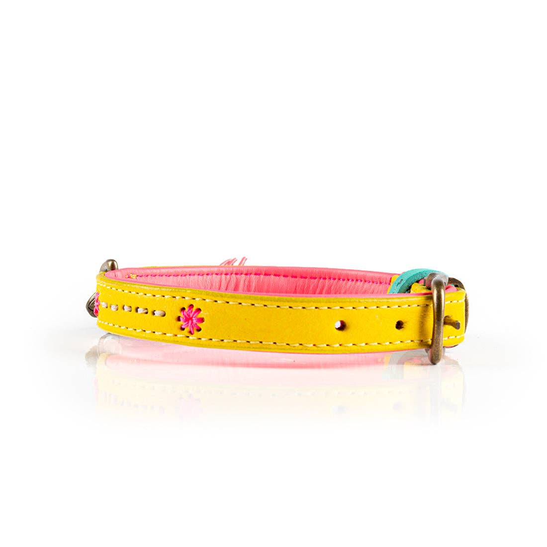 Dog with a Mission - Wholesale Pet Collar - Dog - Collar Urban JESSY9