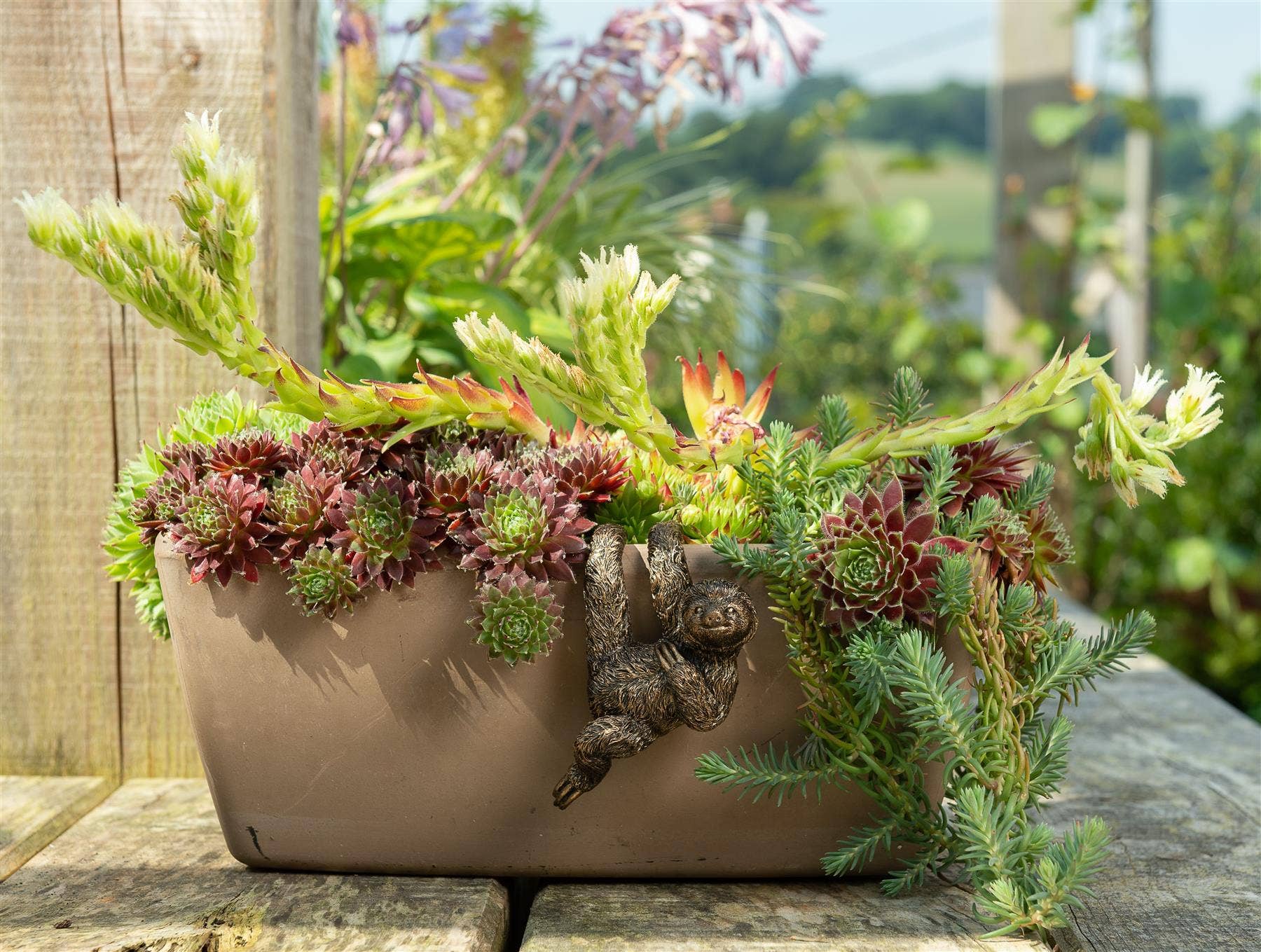 Jardinopia US - Wholesale Plant Pot Stand - Three Toed Sloth Plant Pot Hanger7