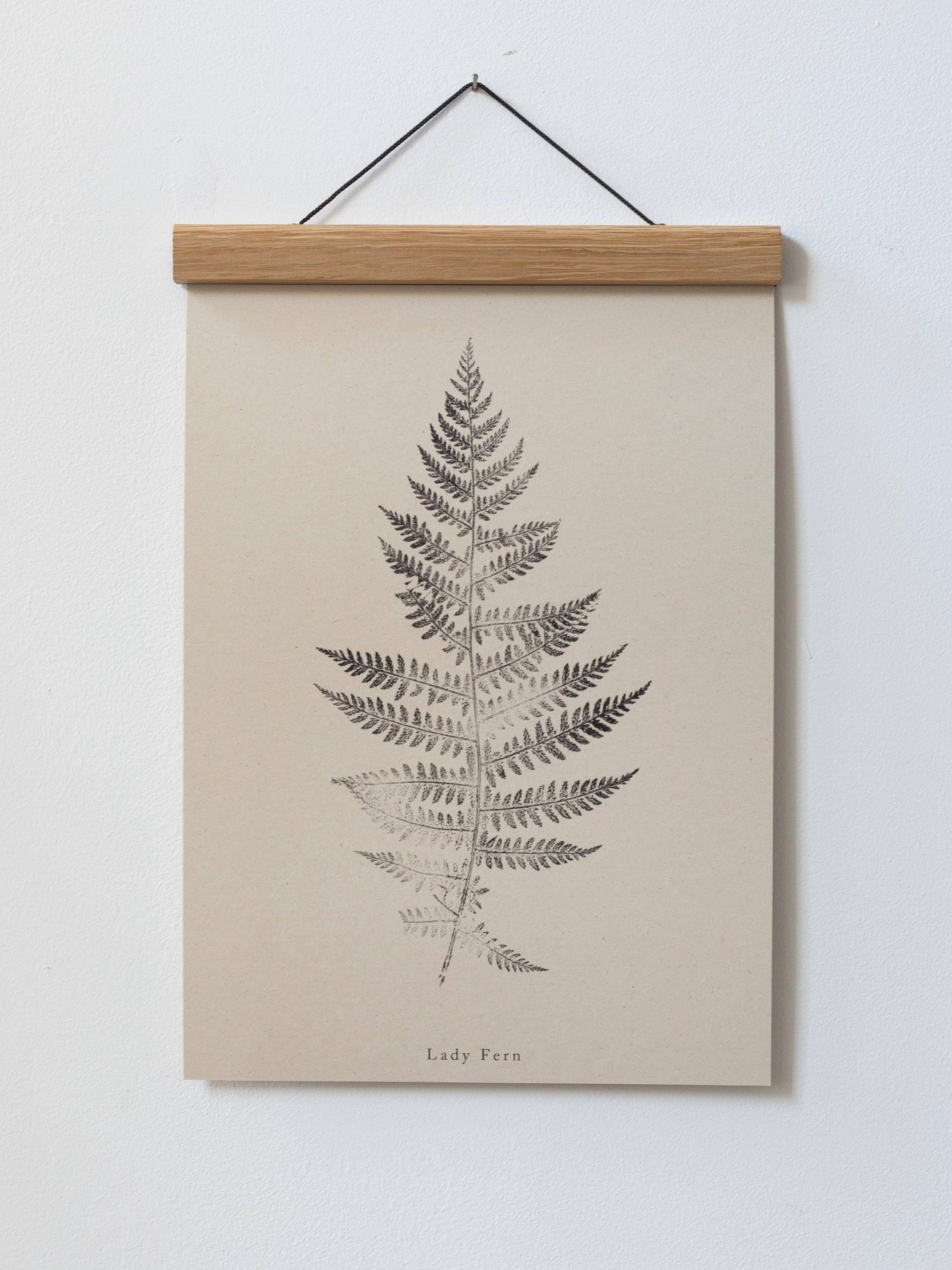 Alicia Breakspear - Wholesale Art Print - Fern Print - Botanical Art Print A5 A4 A3 Lady Fern 8