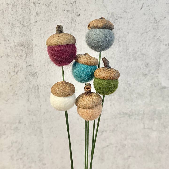 Set of 6 Felt Wool Acorn Bouquet Get Cozy for wholesale by Oakwind Hollow