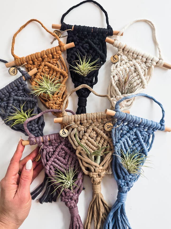 Macrame Air Plant Holder – Boho Hanging Plant Decor for wholesale by A Branch & Cord