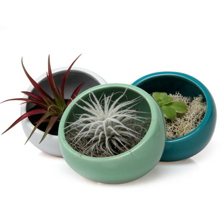 Half Moon Indoor Plant Pot For Succulents for wholesale by Chive