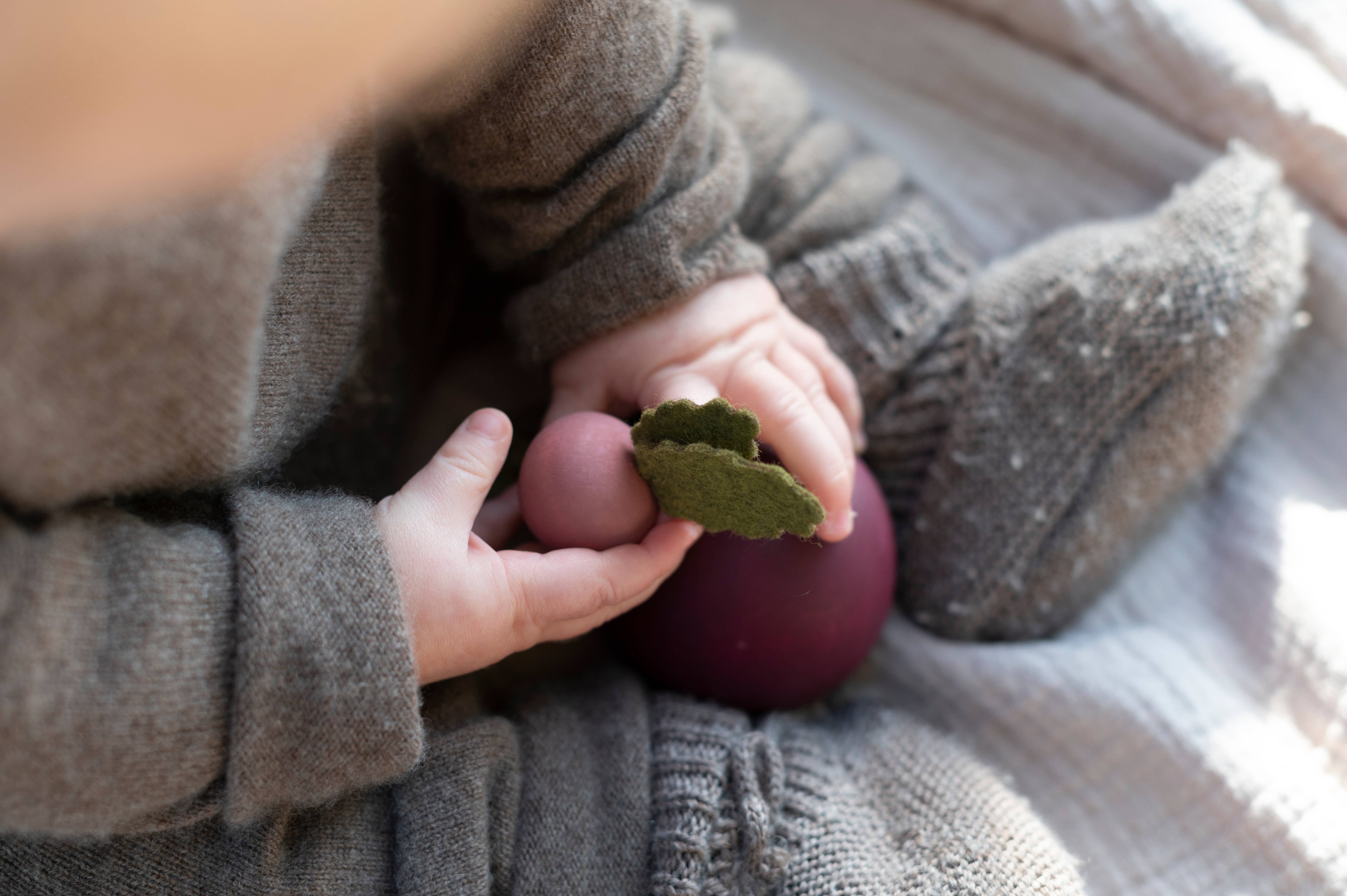 SABO concept - Wholesale Wood Toy - Kids - Wooden Vegetables Set | Vegetables Toys | Borscht6