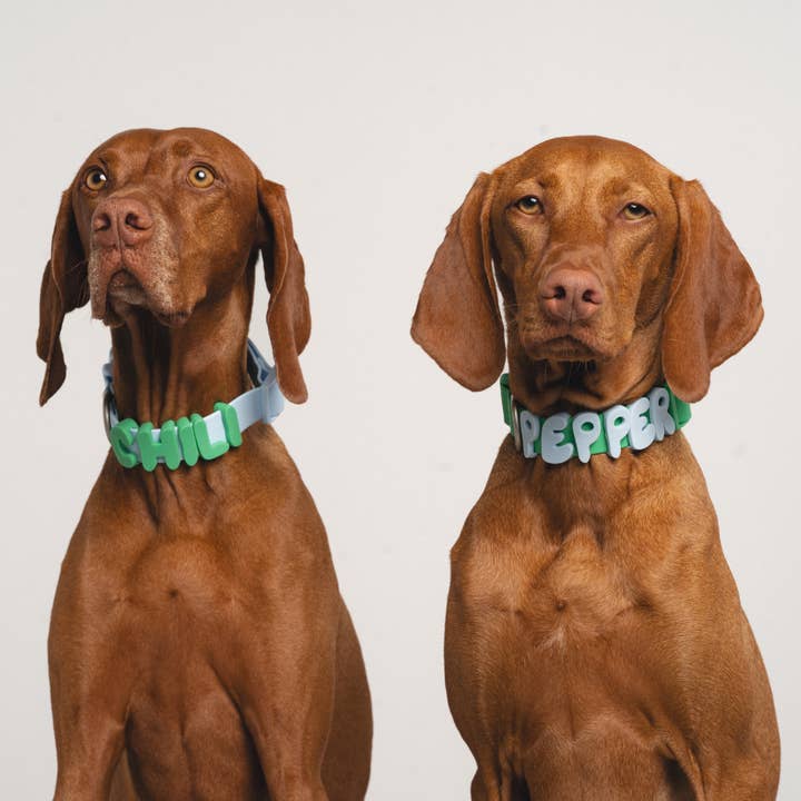 Springland Pets - Wholesale Pet Collar Charm - Cat/Dog - Silicone Dog Charms Personalize Pet Collar (63 Pack Assort)32