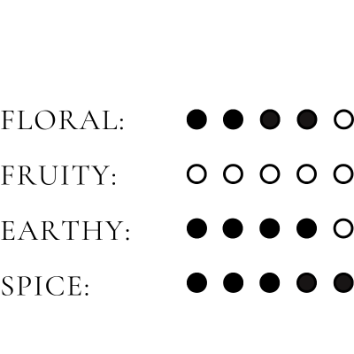 Efori - Vente Parfum/Eau de toilette - POWER | Eau de parfum 50 ml3