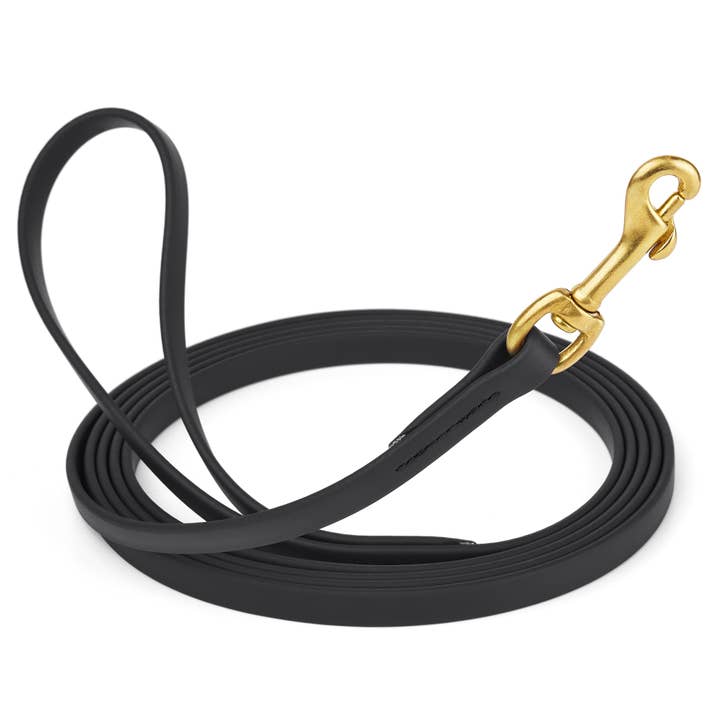 Dogline - Wholesale Pet Leash - Dog - Viper Biothane 20 ft Dog Leash - Long Line Lead