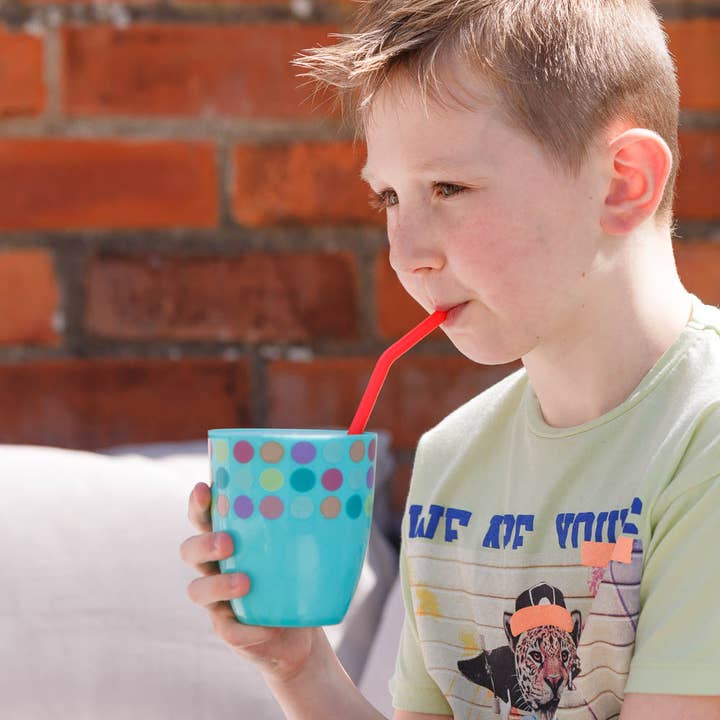 Echo Three – wholesale Drinking straw – Flexi Straws (Set of 4)2