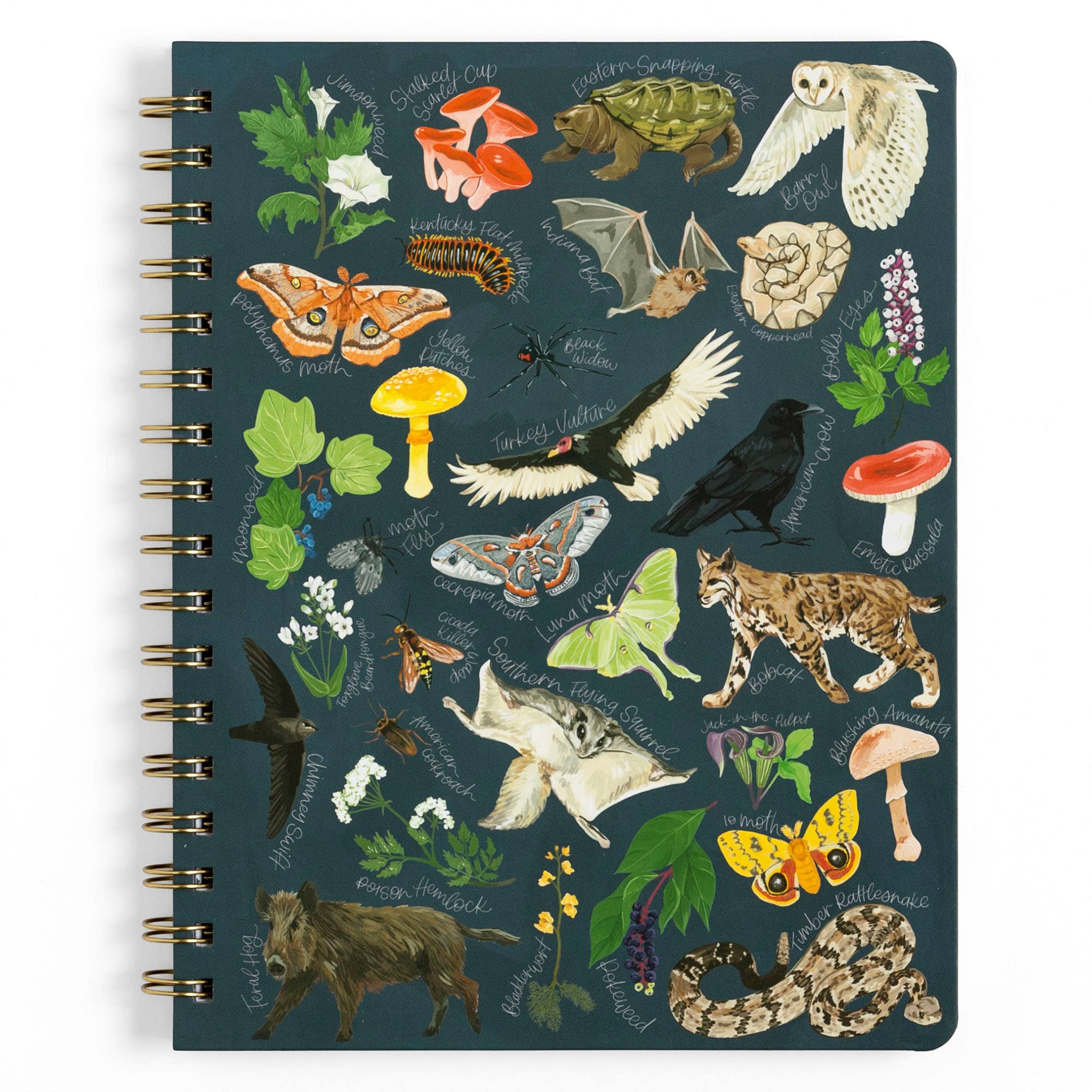 1canoe2 | One Canoe Two Paper Co. - Wholesale Notebook - Midnight Flora & Fauna Spiral Notebook2