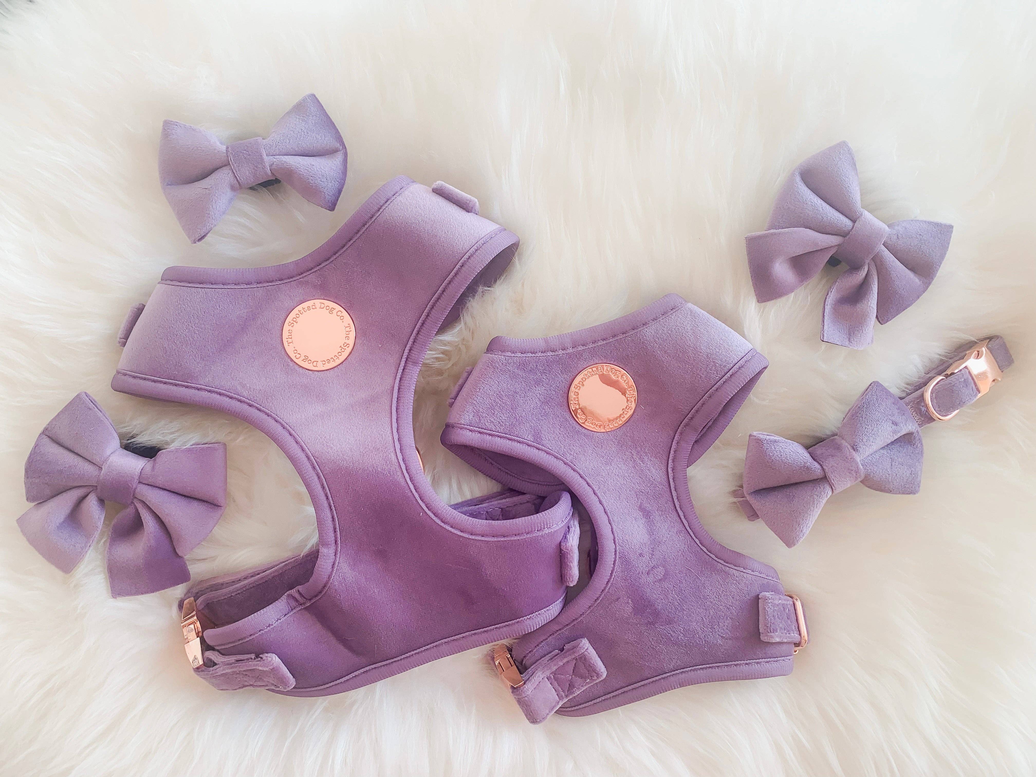 The Spotted Dog Company – wholesale Pet collar – Dog – Lilac Velvet Dog Collar3