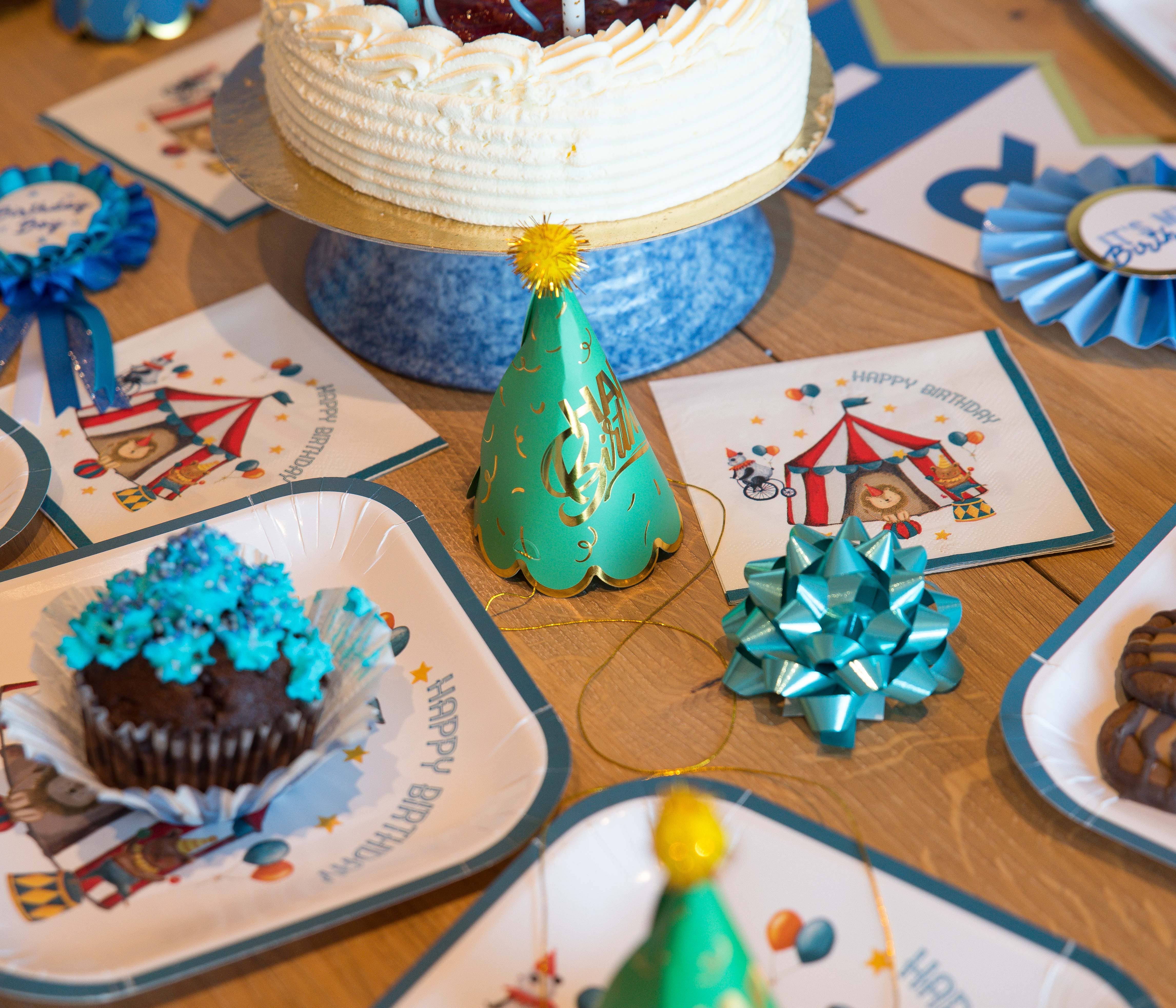 Party Partners - Wholesale Disposable Plate - Happy Birthday Circus Plates2