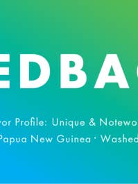 Feedback 5 lb for engroshandel hos New Wave Coffee Roasters