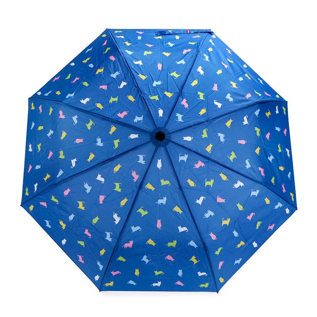 Balvi – Guarda-chuva – Criança por atacado – Guarda-chuva infantil azul Meowmbrella com capa de neoprene em formato de gato, nylon6