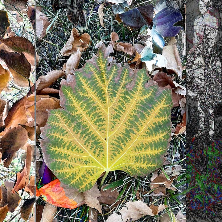 Automne, n° 5 pour la vente par Art by Deeling